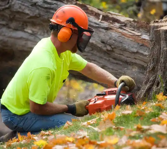 tree services Russell Gardens